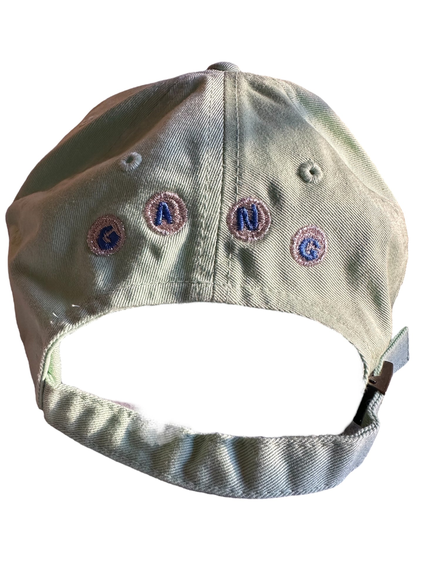 Piranha Gang Mint Green Dad hat