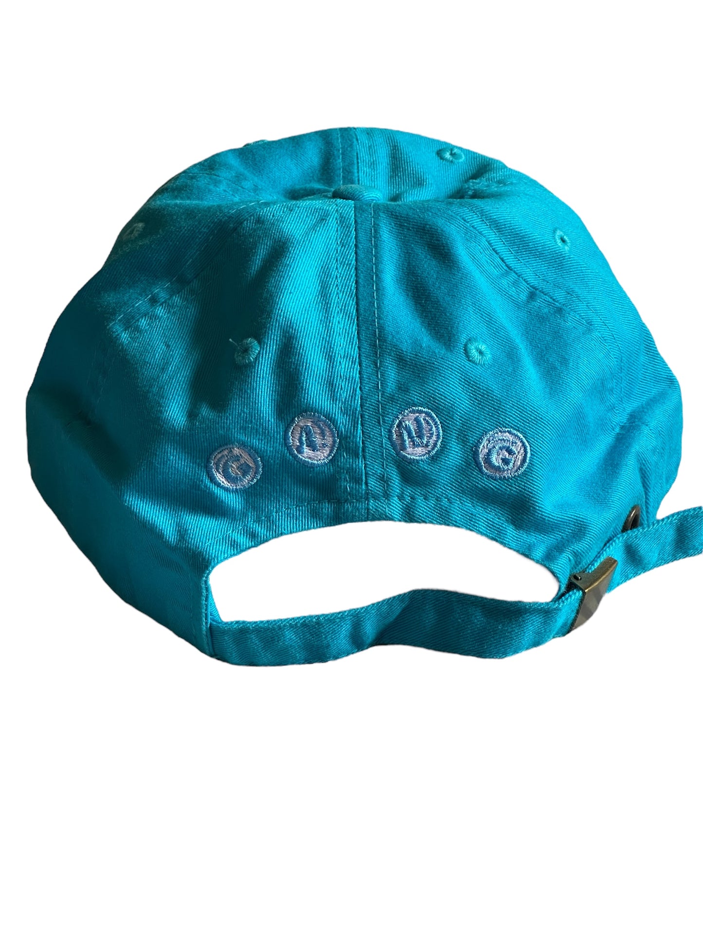 Piranha Gang Aqua Dad Hat